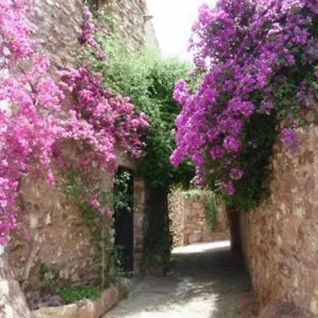 El Jardin Vertical *