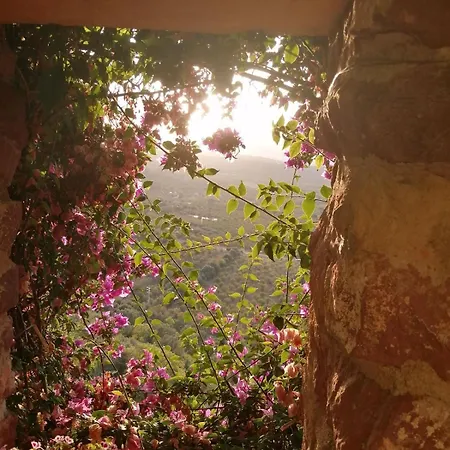 El Jardin Vertical Landsted Vilafamés