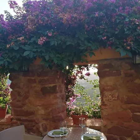 El Jardin Vertical Vilafamés