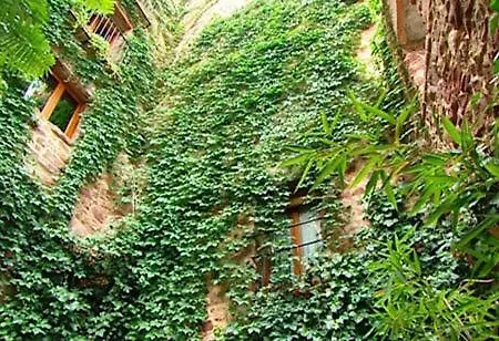 El Jardin Vertical *