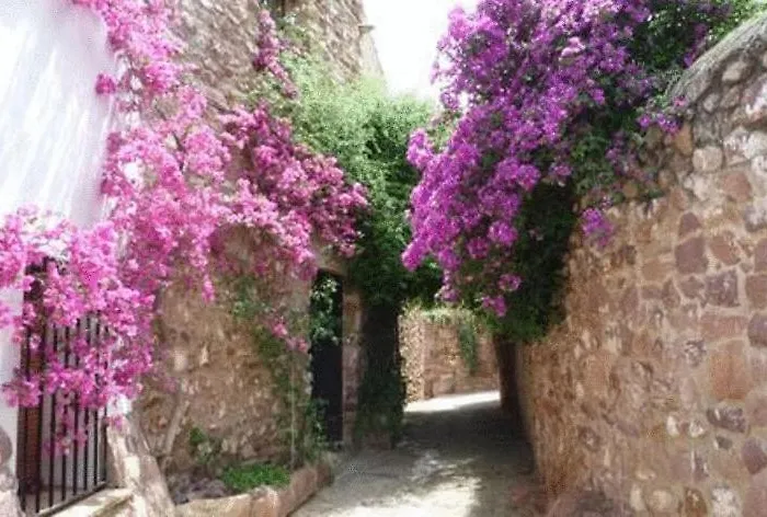 El Jardin Vertical *