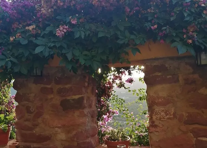 El Jardin Vertical Vilafamés
