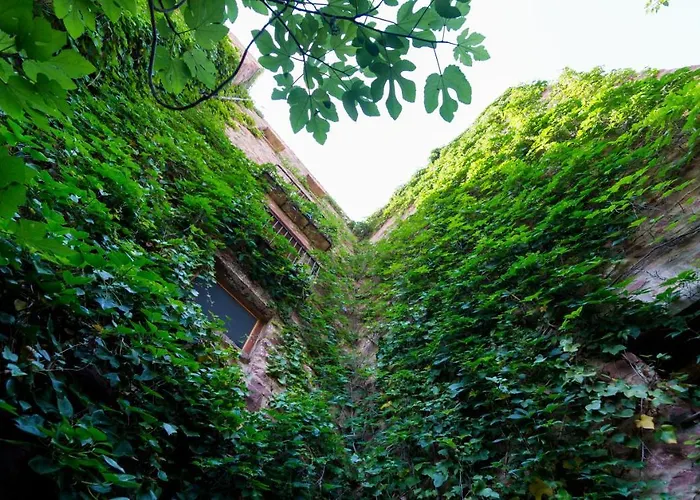 Gospodarstwo wiejskie El Jardin Vertical